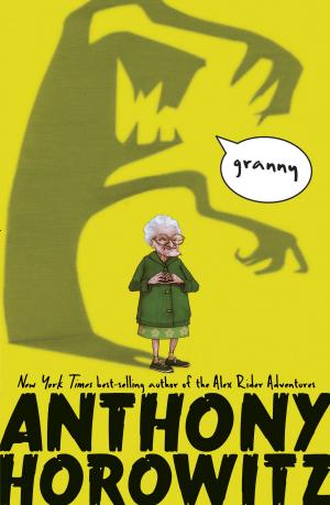 Cover of the book Granny by Yona Zeldis McDonough, Who HQ