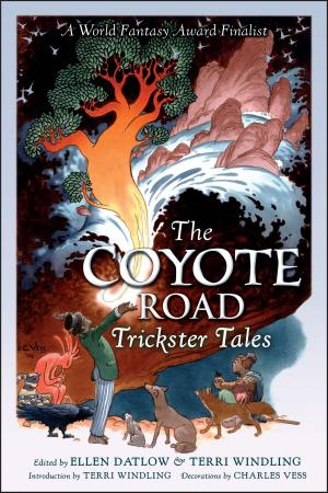 Cover of the book The Coyote Road by Franklin W. Dixon