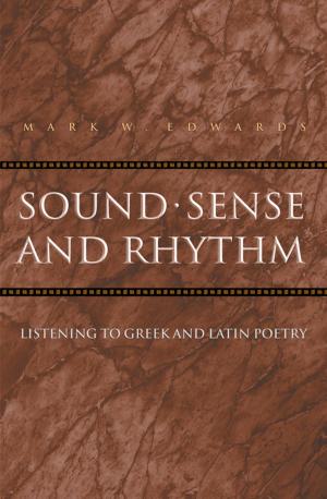 Cover of the book Sound, Sense, and Rhythm by Nicola Suthor