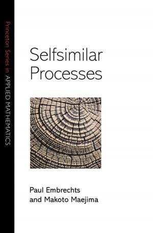 Cover of the book Selfsimilar Processes by Philip Lieberman