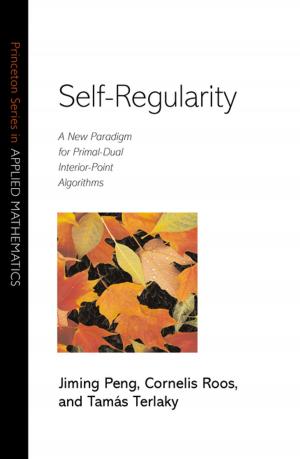 bigCover of the book Self-Regularity by 