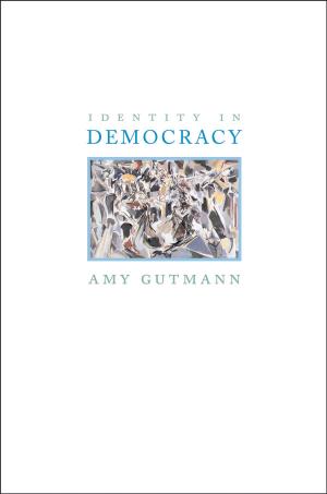 Book cover of Identity in Democracy