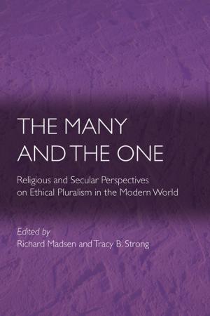 Cover of the book The Many and the One by Rami Shakarchi, Elias M. Stein