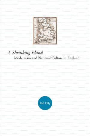 Cover of the book A Shrinking Island by Sheri Holman