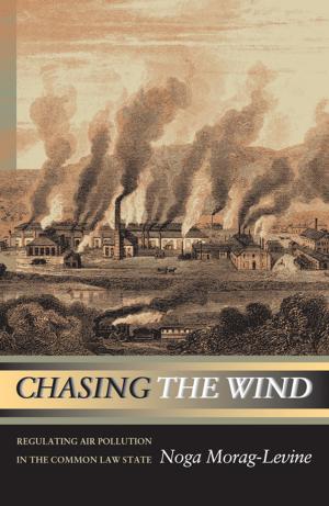 Cover of the book Chasing the Wind by Omri Ben-Shahar, Carl E. Schneider