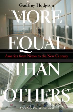 Cover of the book More Equal Than Others by David Russell