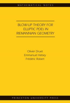 Cover of the book Blow-up Theory for Elliptic PDEs in Riemannian Geometry (MN-45) by Anne Norton