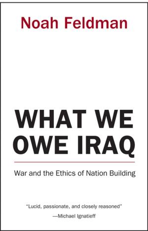 Cover of the book What We Owe Iraq by Jack Zipes