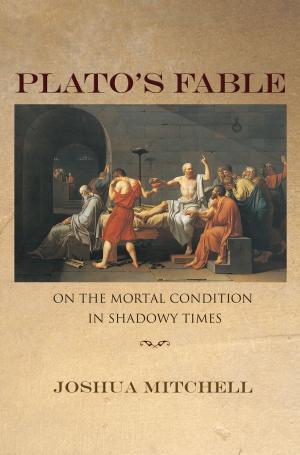 Cover of the book Plato's Fable by Marshall T. Poe