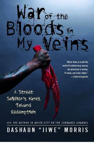 Cover of the book War of the Bloods in My Veins by Erik Storey