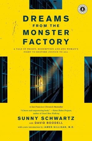 Cover of the book Dreams from the Monster Factory by Aravind Adiga