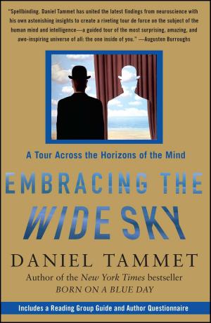 Book cover of Embracing the Wide Sky