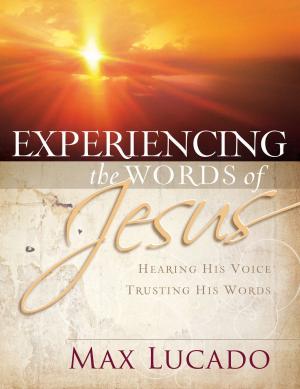Book cover of Experiencing the Words of Jesus