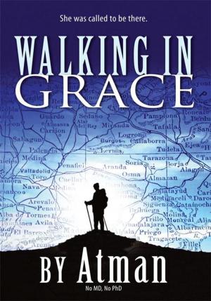 Cover of the book Walking in Grace by Joe Race
