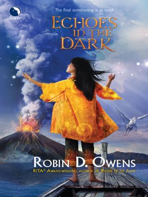 Cover of the book Echoes in the Dark by Rachel Lee
