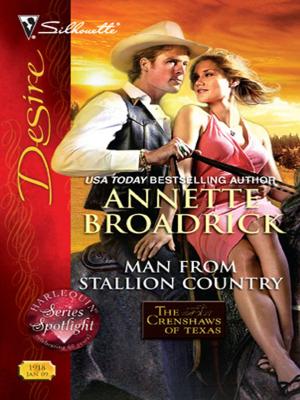 Cover of the book Man from Stallion Country by Nora Roberts