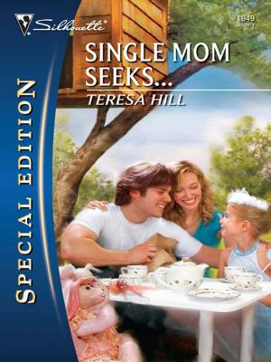 Cover of the book Single Mom Seeks... by Lyn Stone