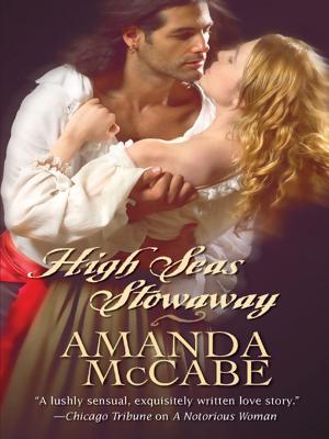Book cover of High Seas Stowaway