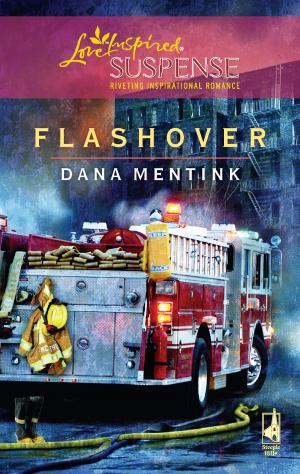 Cover of Flashover