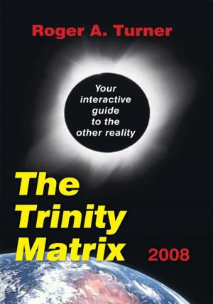 Book cover of The Trinity Matrix 2008