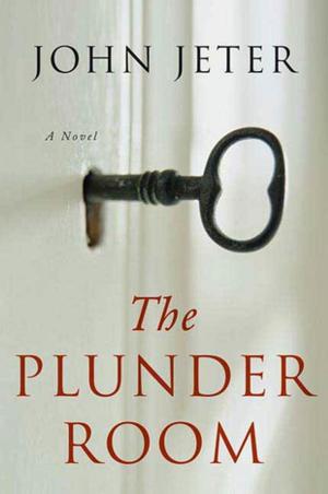Cover of the book The Plunder Room by Jeff Stibel