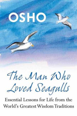bigCover of the book The Man Who Loved Seagulls by 