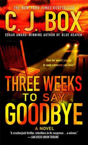 Cover of the book Three Weeks to Say Goodbye by Ruth Whippman
