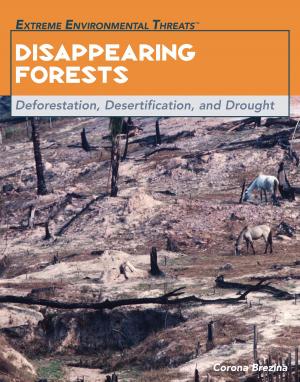 Book cover of Disappearing Forests
