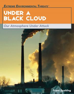 Cover of the book Under a Black Cloud by Ann Byers