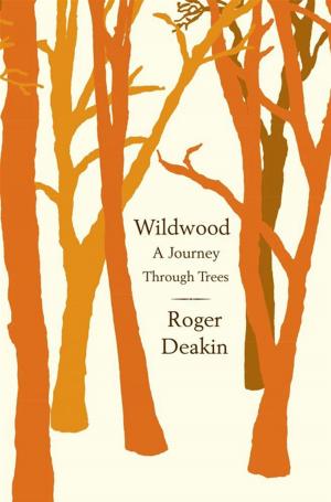 Cover of the book Wildwood by Emily Gould