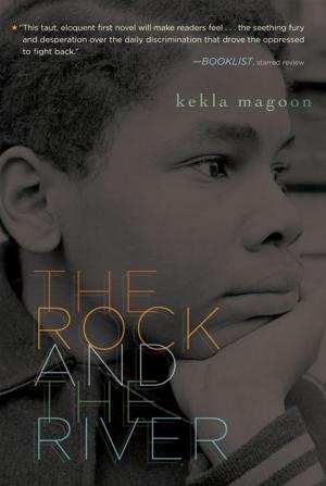 Cover of the book The Rock and the River by Melissa de la Cruz