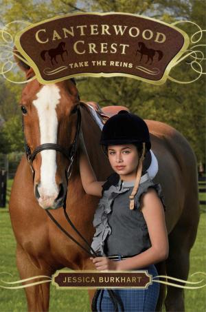 bigCover of the book Take the Reins by 