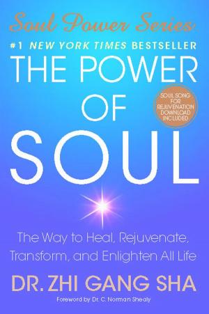 Cover of the book The Power of Soul by Guru Dharma Singh Khalsa, M.D.