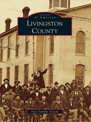 Cover of the book Livingston County by Tim Hollis