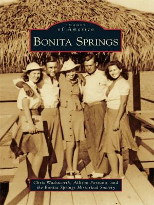 Cover of the book Bonita Springs by Grace Shackman