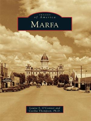 Book cover of Marfa