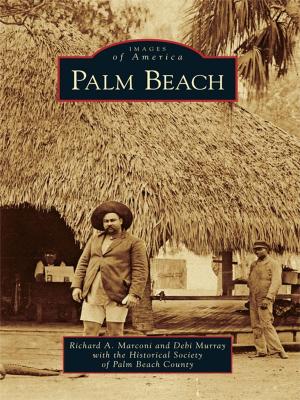 Cover of the book Palm Beach by Rachel E. Cherry