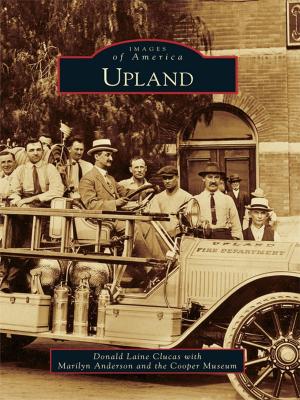 Cover of the book Upland by Megan E. Daniels