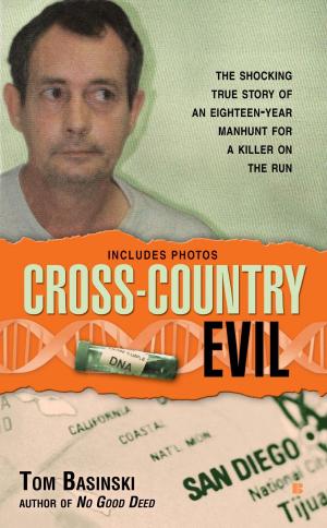 Cover of the book Cross-Country Evil by Pam Johnson-Bennett