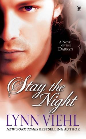 Cover of the book Stay the Night by Gavin Mills