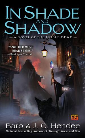 Cover of the book In Shade and Shadow by Marietta McCarty