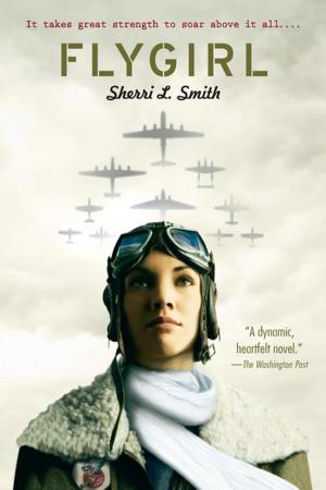 Cover of the book Flygirl by David A. Adler