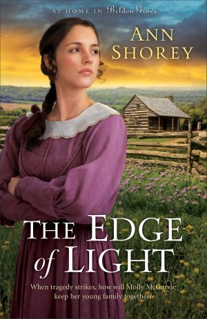 Cover of the book Edge of Light, The (At Home in Beldon Grove Book #1) by Lisa T. Bergren