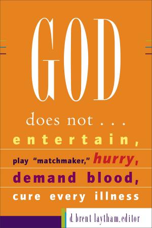 Cover of the book God Does Not... by J. Richard Middleton