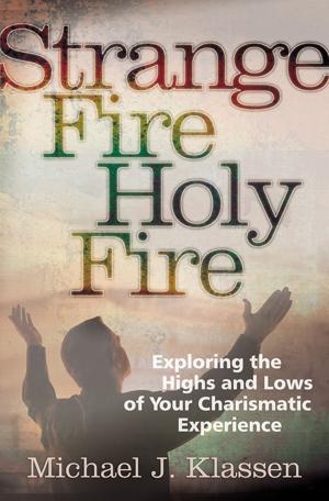 Cover of the book Strange Fire, Holy Fire by Veli-Matti Kärkkäinen