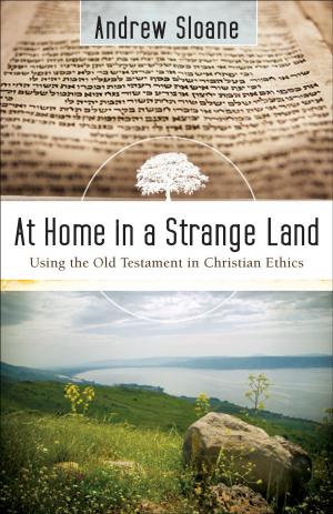Cover of the book At Home in a Strange Land by Gerald R. McDermott