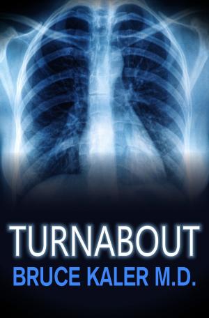 Cover of the book Turnabout by Kai Kiriyama