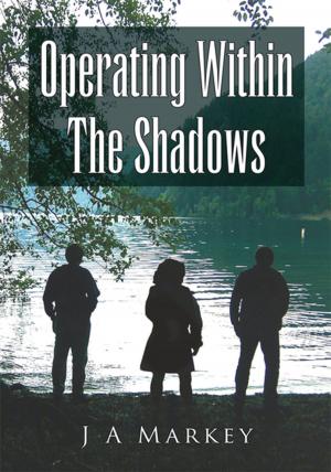 Cover of the book Operating Within the Shadows by Eva Aloezos