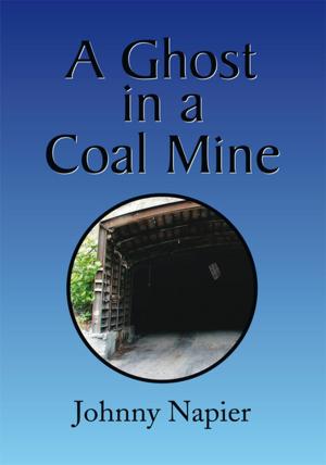 Cover of the book A Ghost in a Coal Mine by Rimaletta Ray Ph.D., Yolanta Lenski
