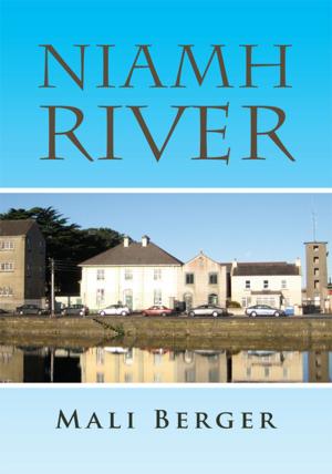 Book cover of Niamh River